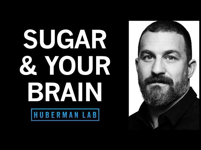 Controlling Sugar Cravings & Metabolism with Science-Based Tools | Huberman Lab Podcast #64