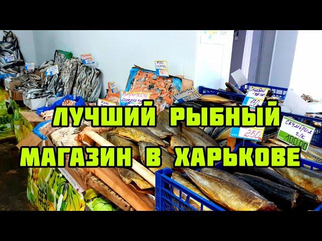 Харьков сегодня. Где купить самую вкусную рыбу. 12.02.2024.