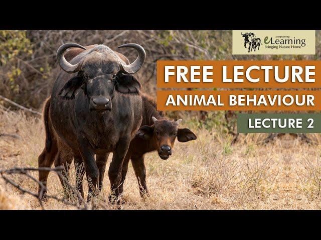 EcoTraining FREE Lecture on Animal Behaviour | Lecture 2