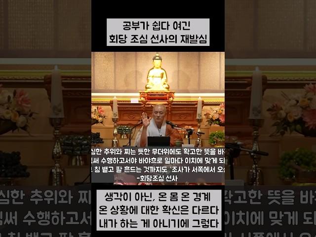 공부가 쉽다 여긴 착오 #진리 #깨달음 #인생조언 #마음 #선불교 #지혜