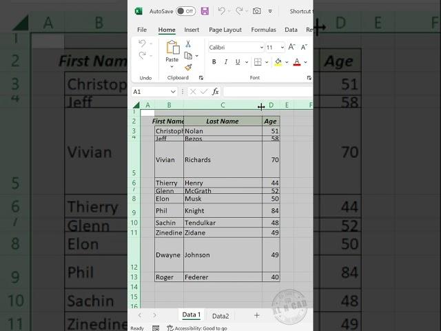 Autofit Columns and Rows in Excel