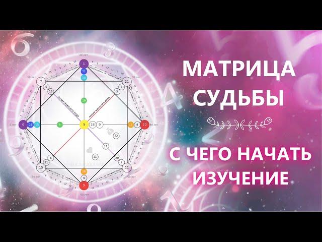 Матрица Судьбы для новичков. С чего начать?