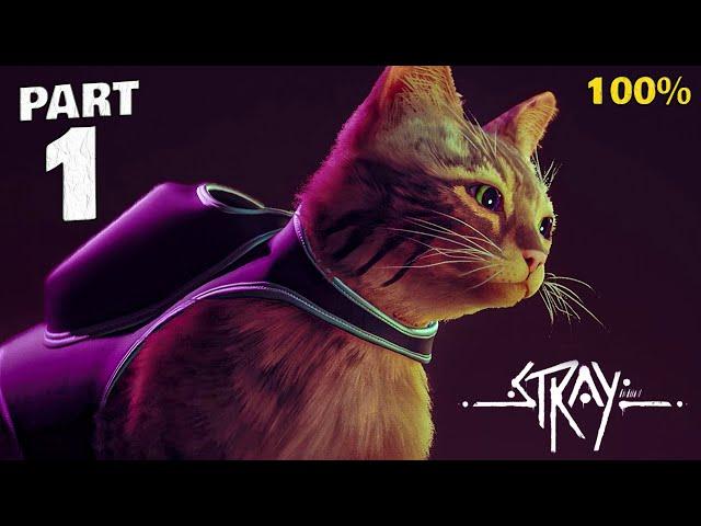 Stray 100% Walkthrough Gameplay Part 1 - All Collectibles & Achievements Guide