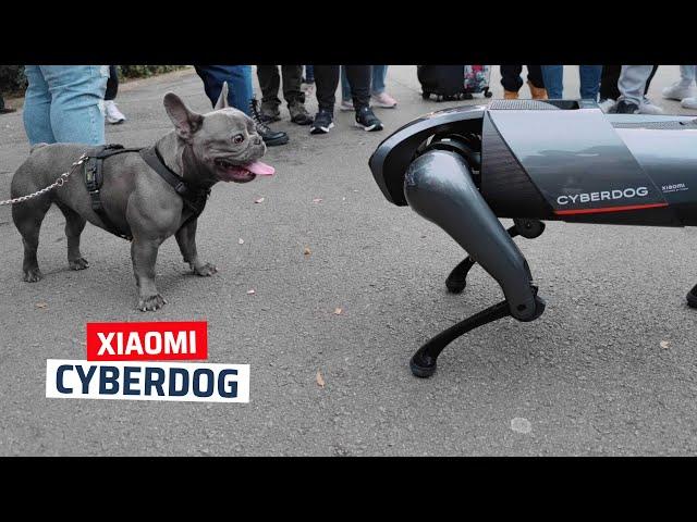 Así es el Cyberdog de Xiaomi, lo hemos probado en MWC 2022