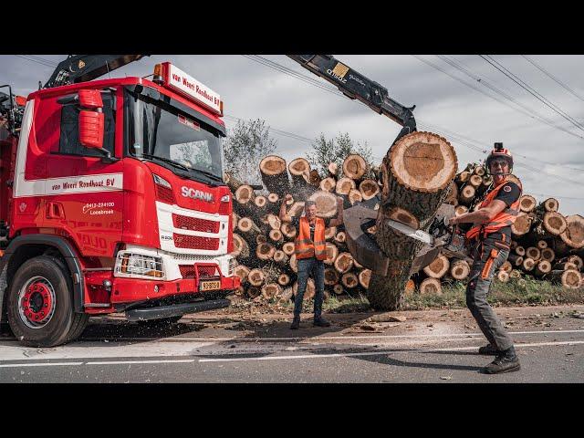 Met een Scania R530 XT en kettingzaag in de weer om bomen te rooien! 