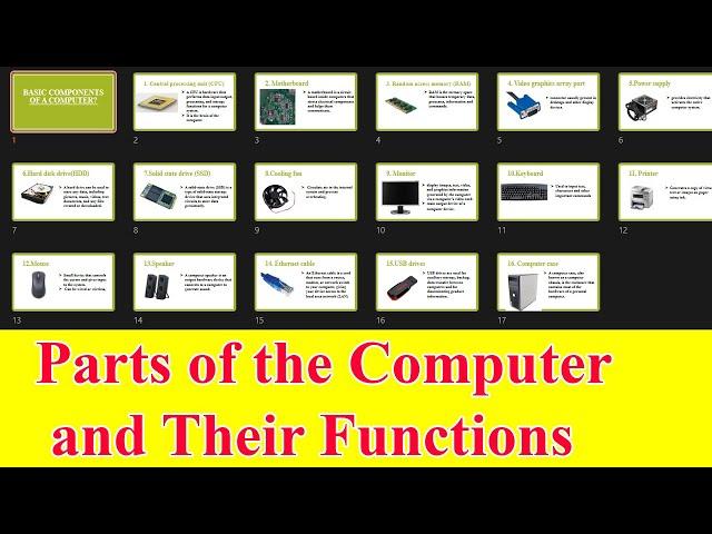 Parts of the Computer and Their Functions /Basic Computer Skills