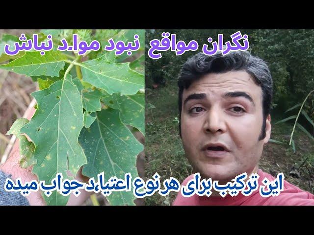 بهترین ترکیب از گیاهان برا تر.ک یا جایگزین کردن که برای همه جواب میده