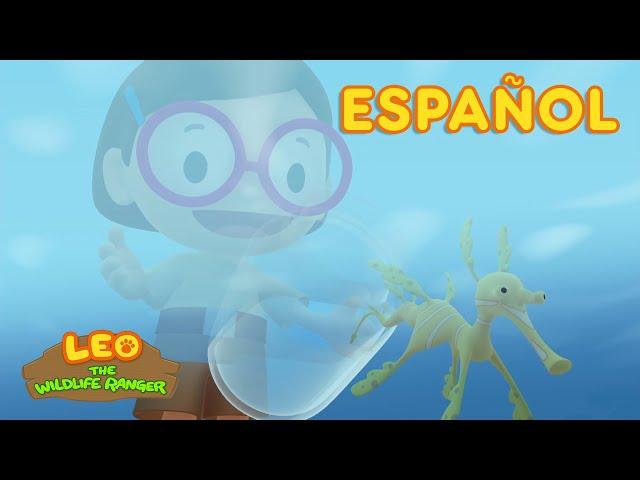 El Dragón de Mar Foliáceo (Español) - Leo, El Explorador Episodio | Animación - Familia - Niños