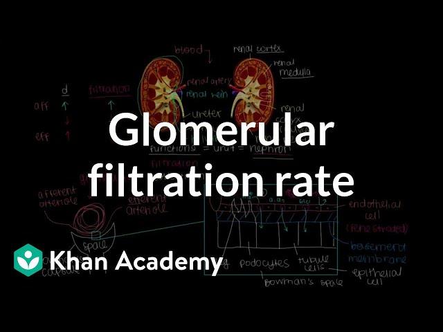 Changing glomerular filtration rate | Renal system physiology | NCLEX-RN | Khan Academy