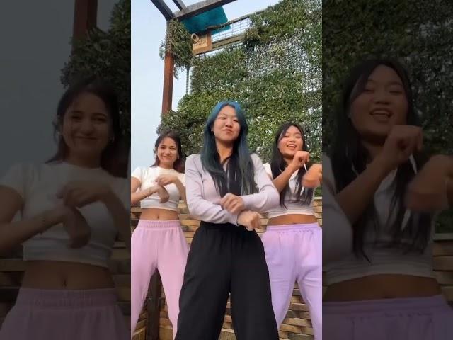 Gyal you a party animal Trending/ Viral TikTok/Reel dance by MIXDUP 