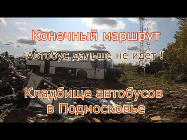 Кладбище автобусов в Подмосковье. Конечный маршрут