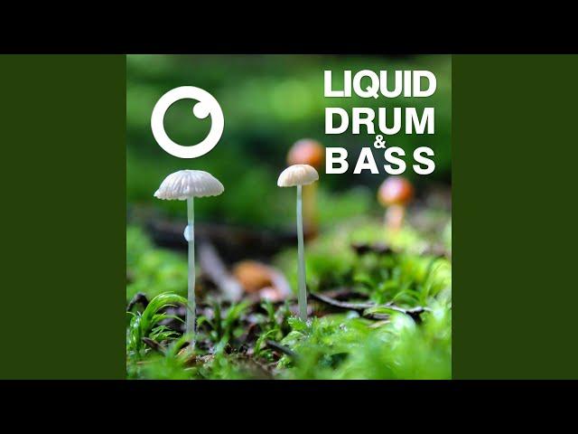 Liquid Drum & Bass Sessions 2020 Vol 36