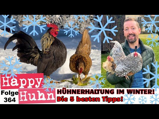 How to keep happy chickens in winter! 5 of my very best tips! ENGLISH SUBTITLE #keepingchickens