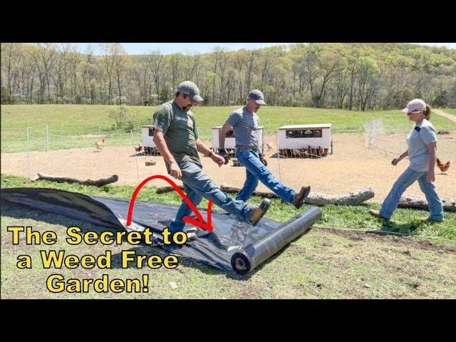 Starting a WEED FREE In Ground Garden from Scratch!