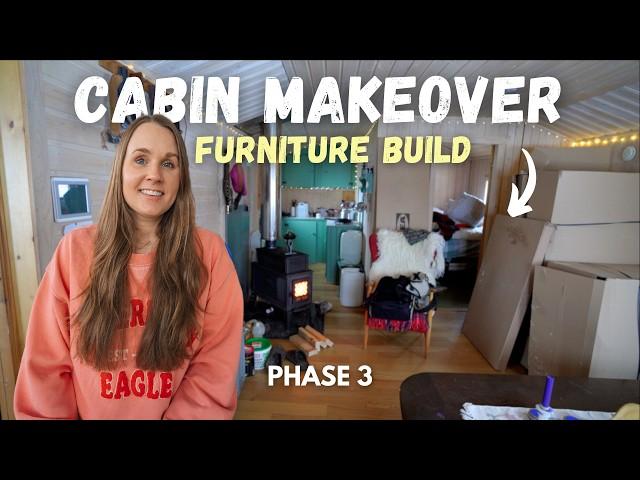 Building & Setting Up the Furniture! ︱ Svalbard Cabin Makeover: Part 3