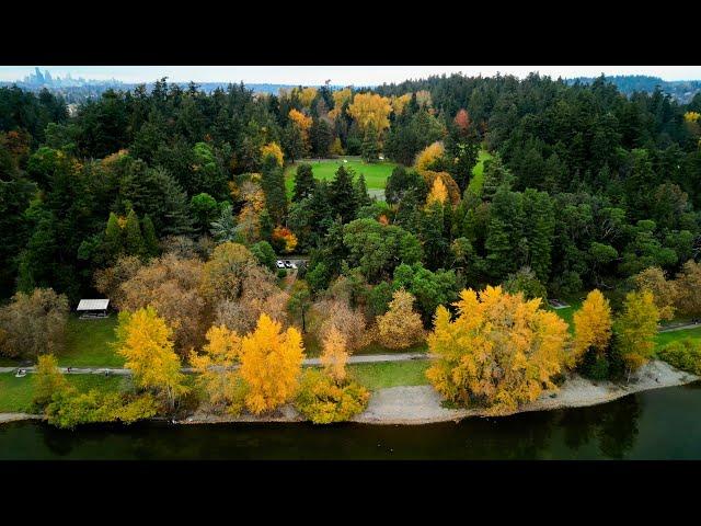 Stunning Fall Colors Over Seward Park | 4K Cinematic