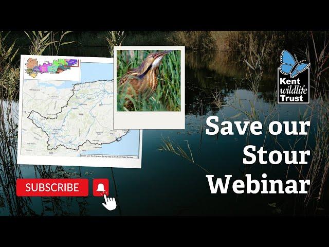 Save our Stour Webinar