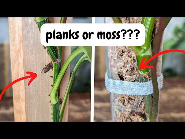 are moss poles and wood planks the same?