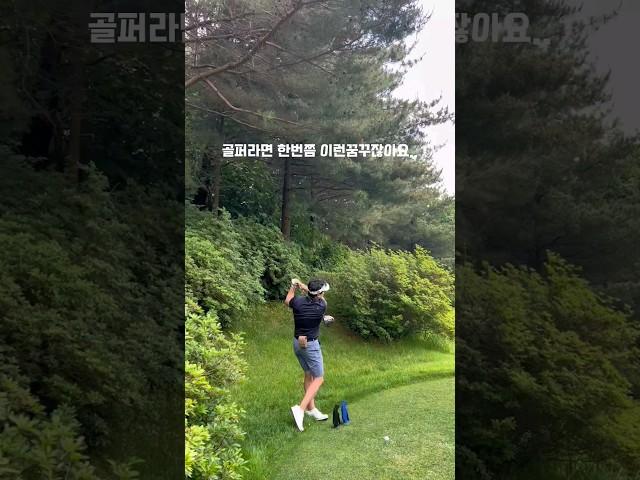 골퍼라면 한번쯤 꾸는꿈.실제로 겪어봤습니다. #골프