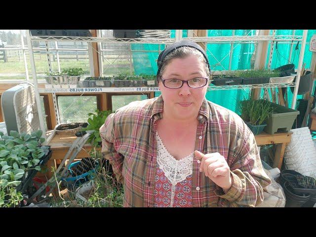 Come tour my garden seedlings for 2022- so many plants!