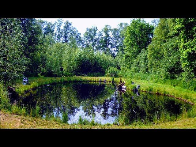 NATURTEICH ANLEGEN OHNE FOLIE | 300m² GÜNSTIG+SCHÖN | NATUR-GARTEN-TEICH-TIPPS FÜRS SELBER BAUEN