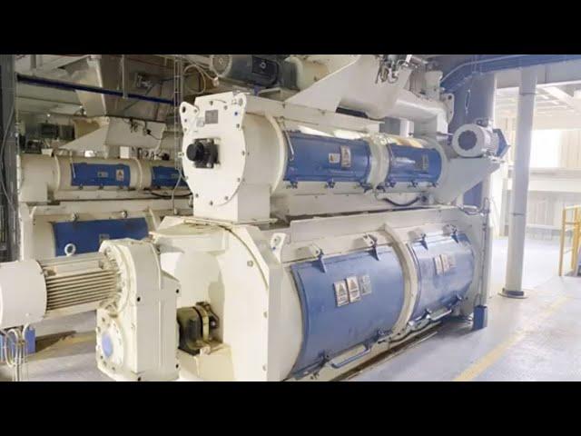 Fully Automatic Fish Feed Production Line | FeedWale Fish Feed