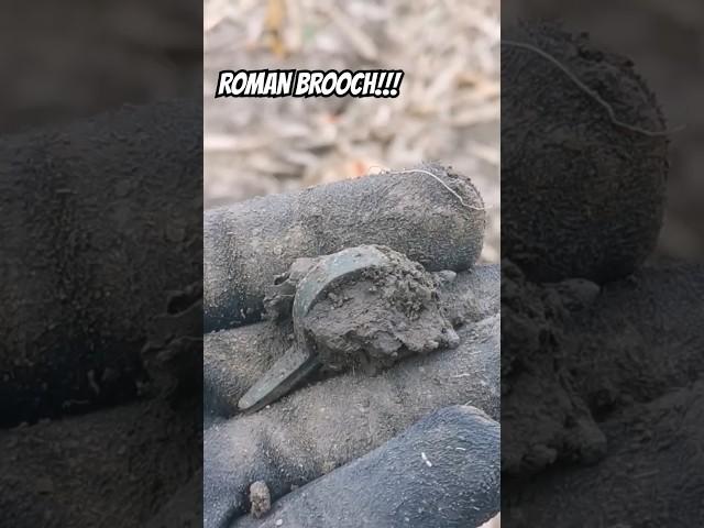 ROMAN FIBULA UNEARTHED!#metaldetecting #coin #history #rome #deus #battle #gold#metaldetector #fyp