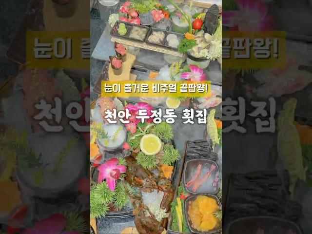 비주얼 끝판왕! 천안 횟집 바로 여기 #천안 #두정동 #맛집