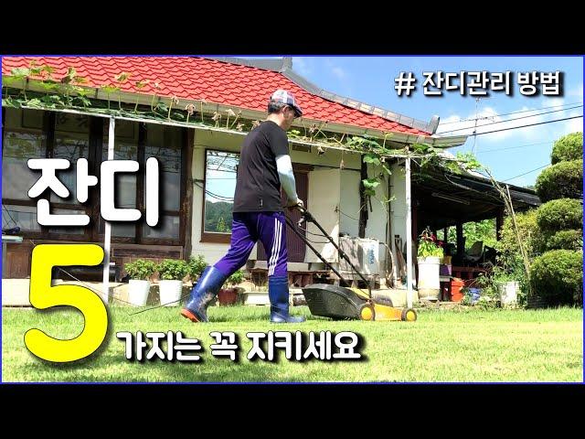 푸른 잔디마당은 5가지를 필수로 성실히 해야 얻을 수 있다 / countryside, grass yard, grass management