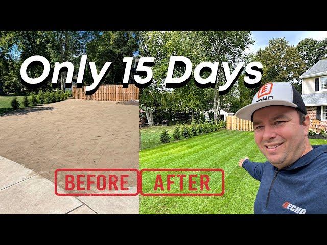 Going From DIRT To STRIPES In 15 Days With SEED