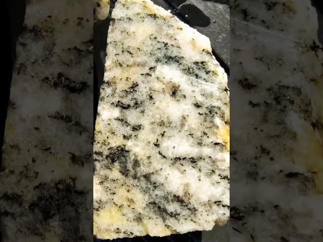 Sliced Gneiss