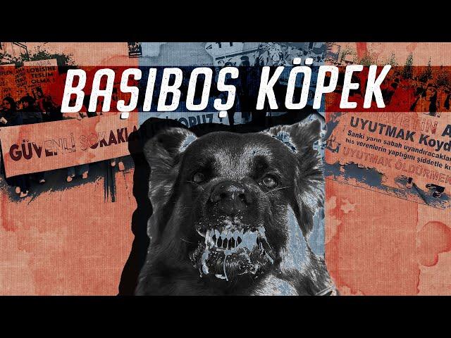 Başıboş Köpek Sorunu