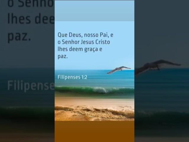 GRAÇA e PAZ.                  (Mensagem aqui). #shorts