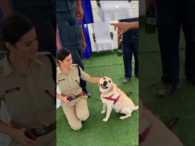 IPS Navjot simi ma'am  | @ravi vishwa  #shorts #upsc #ias