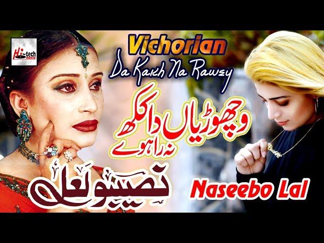 Vichorian Da Kakh - Best of Naseebo Lal - HI-TECH MUSIC