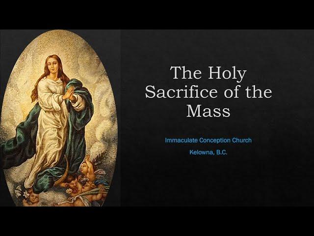 Holy Mass Wednesday, July 10, 2024