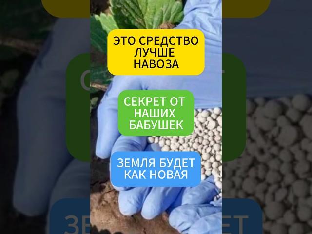 Если УДОБРЯТЬ почву этим - ПЛОДЫ будут РАСТИ как на дрожжах #огород #удобрения #подкормка