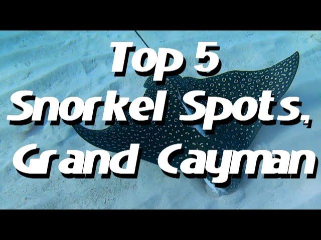 Top 5 Grand Cayman Snorkel Spots