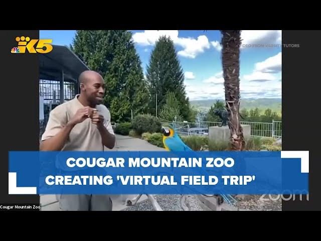 Cougar Mountain Zoo creating free 'virtual field trip' for students