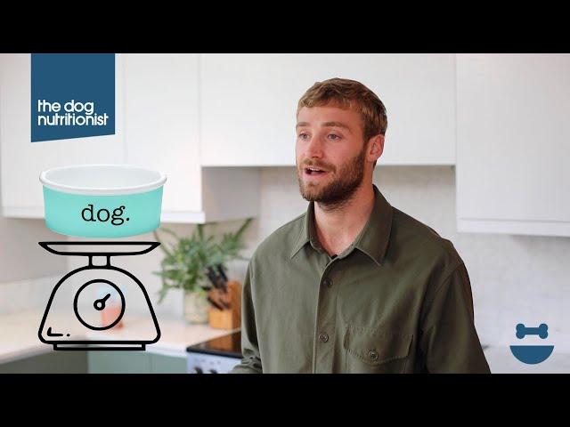 How much food should you feed your dog? | Dog Nutrition Lessons | Ep 7.