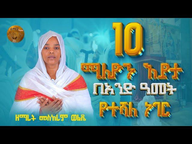 የተሻለ ነገር  | ዘማሪት መስከረም ወልዴ  | New Ortodox mezemur