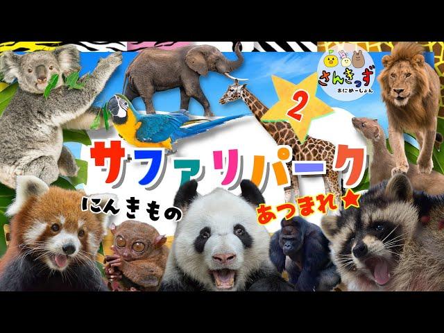 【子供向け 動物園アニメ】サファリパークへ行こう！part2コアラ キリン レッサーパンダなど人気の動物たち20種類の動物の名前を覚えよう◎ 【うごく動物ずかん】動物の知育動画