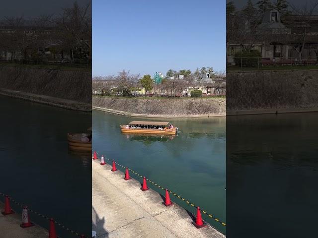 岡崎公園(oka-zaki park)