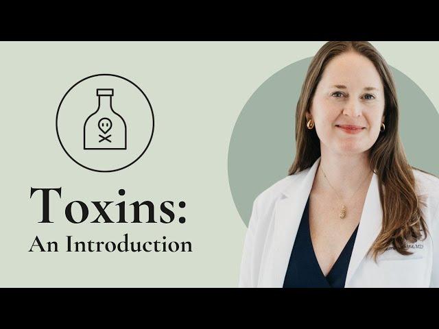 What You Need to Know About Endocrine Disruptors and Your Fertility - Dr  Lora Shahine