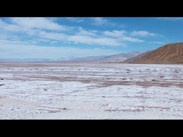 Science Today: Life on the Salt Flats | California Academy of Sciences