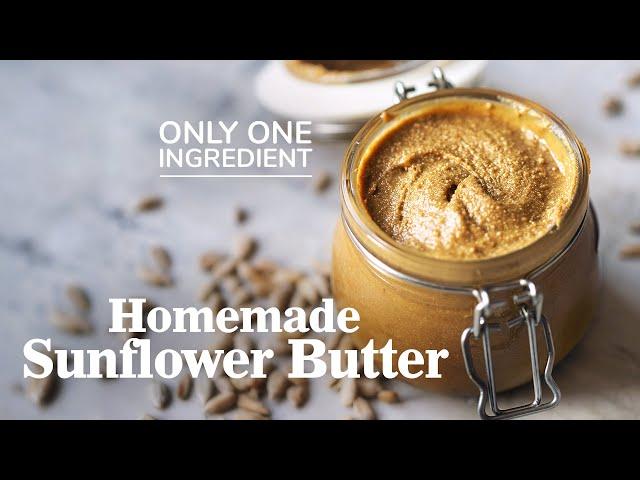 HOW TO MAKE SUNFLOWER SEED BUTTER | Allergy-Free Peanut Butter Alternative