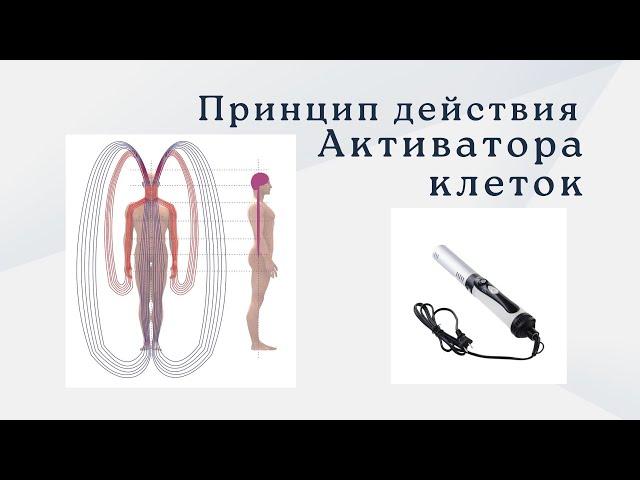 Аппарат Активатор клеток. Принцип работы и инструкция клеточного активатора