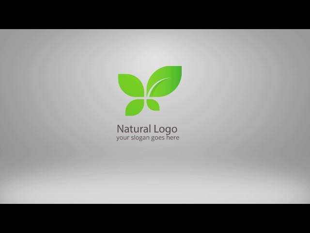 Clean & Professional Logo Animation 52