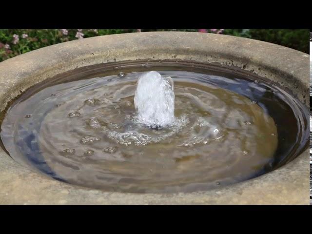 RHS Rosemoor Water Feature