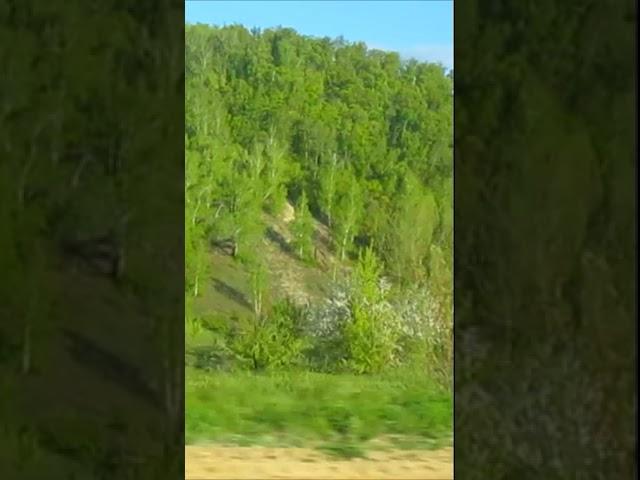 Красивый пейзаж. Вид из машины